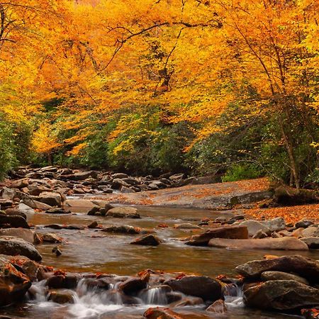 Romantic, Honeymoon Cabin In The Smokies! Gatlinburg Eksteriør bilde