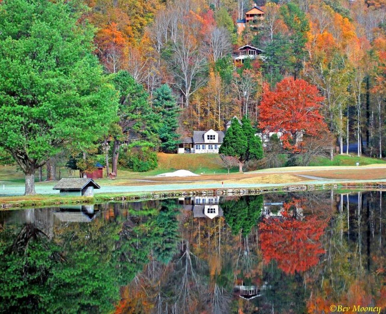 Romantic, Honeymoon Cabin In The Smokies! Gatlinburg Eksteriør bilde