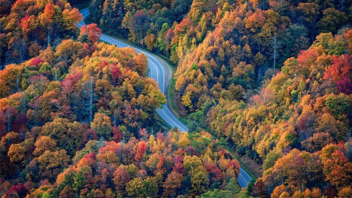 Romantic, Honeymoon Cabin In The Smokies! Gatlinburg Eksteriør bilde